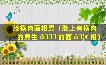 脸横肉面相男（脸上有横肉的男生 🕊 的面 🦢 相）